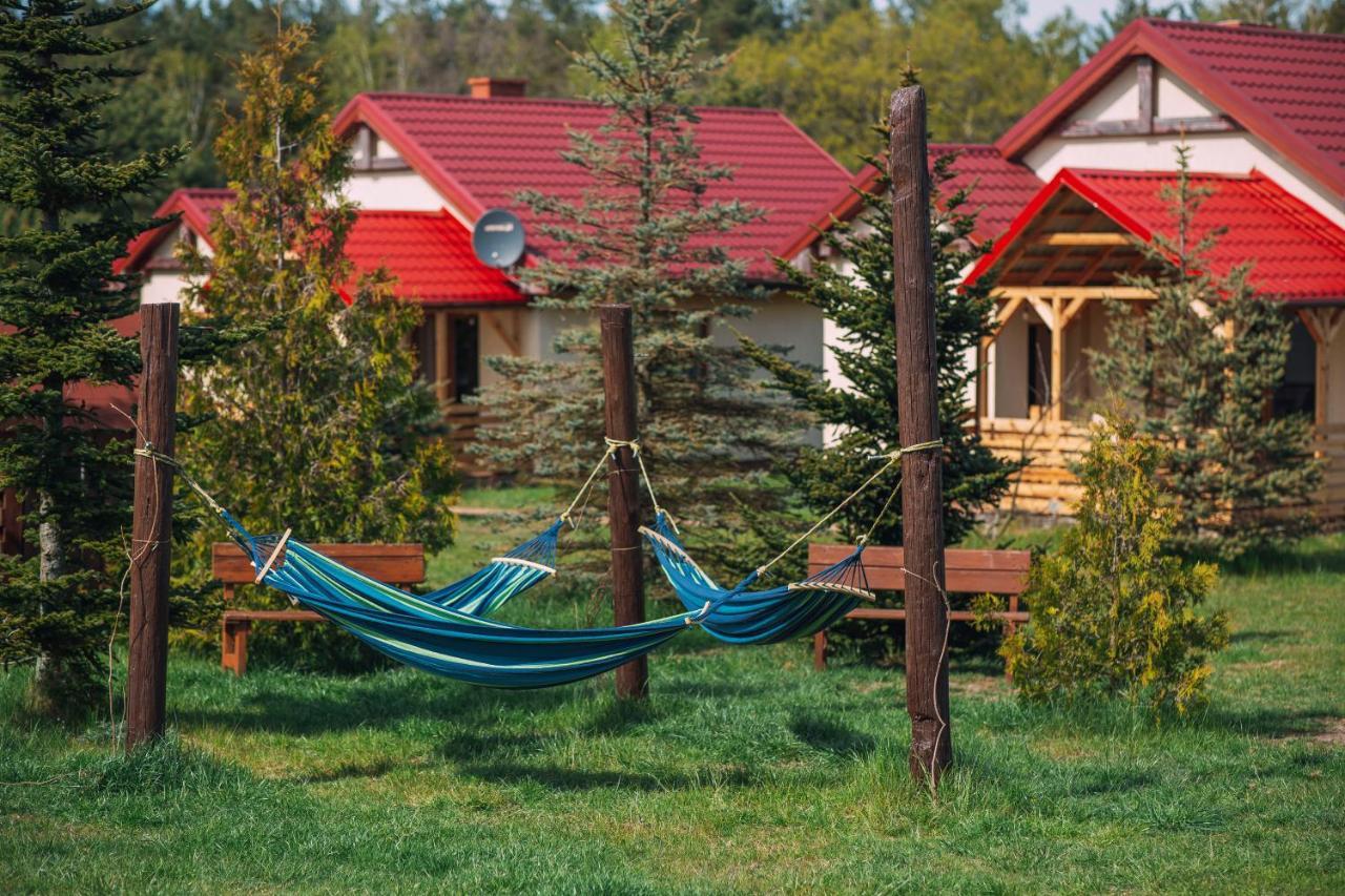 Lesna Oaza Holiday home *